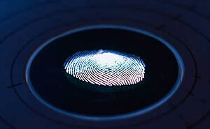 Insurance Coverage For Claims Involving The Misuse Of Biometric Information 