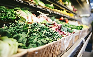 FDA Proposes Rule for Food Traceability