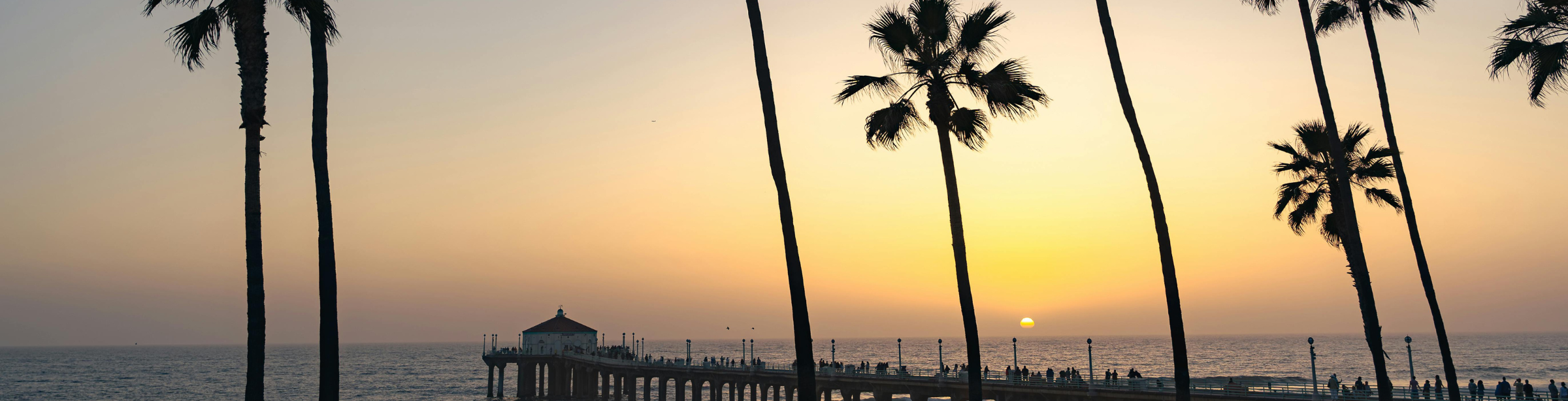 { Banner Image }